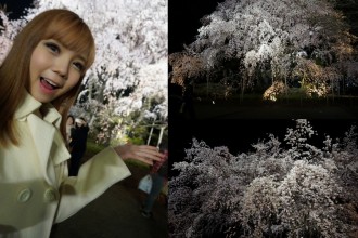 Blog -Night Sakura-001